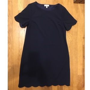 Navy scalloped shift dress